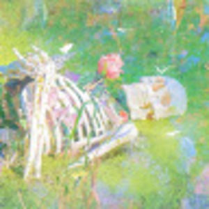 Meet your Posher, Yến